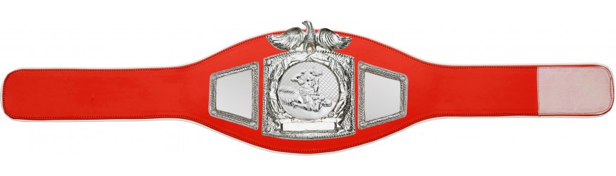 PROEAGLE MMA CHAMPIONSHIP BELT - PROEAGLE/S/MMAS - AVAILABLE IN 6+ COLOURS